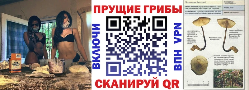 Галлюциногенные грибы ЛСД  мега ссылки  Чухлома 